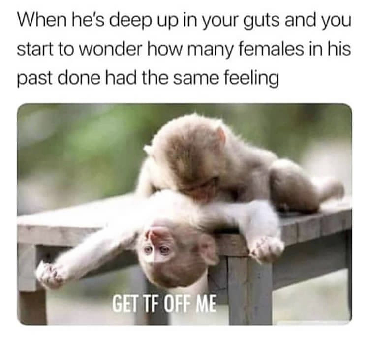 dirty memes baby monkey - When he's deep up in your guts and you start to wonder how many females in his past done had the same feeling Get Tf Off Me