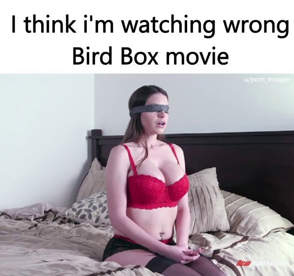 porn meme - wrong bird box meme - I think i'm watching wrong Bird Box movie uporn_trooper New