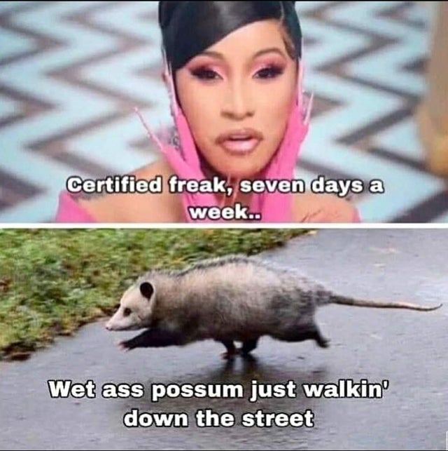 porn meme - cardi b wap nails - Certified freak, seven days a week.. Wet ass possum just walkin' down the street