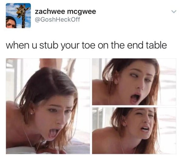 porn meme - porn meme - zachwee mcgwee when u stub your toe on the end table