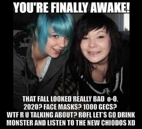you're finally awake - photo caption - You'Re Finally Awake! That Fall Looked Really Bad 00. 2020? Face Masks? 1000 Gecs? Wtfru Talking About? Rofl Let'S Go Drink Monster And Listen To The New Chiodos Xd