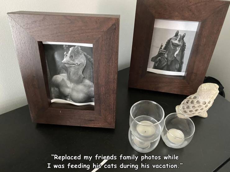 picture frame - "Replaced my friends family photos while I was feeding his cats during his vacation."