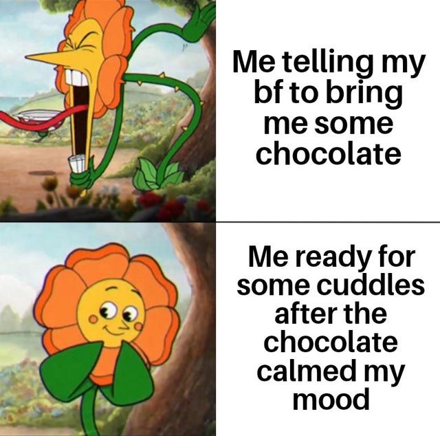 memes memedroid - Me telling my bf to bring me some chocolate Me ready for some cuddles after the chocolate calmed my mood