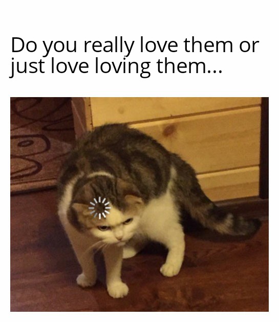 relationship-memes loading meme - Do you really love them or just love loving them... 2