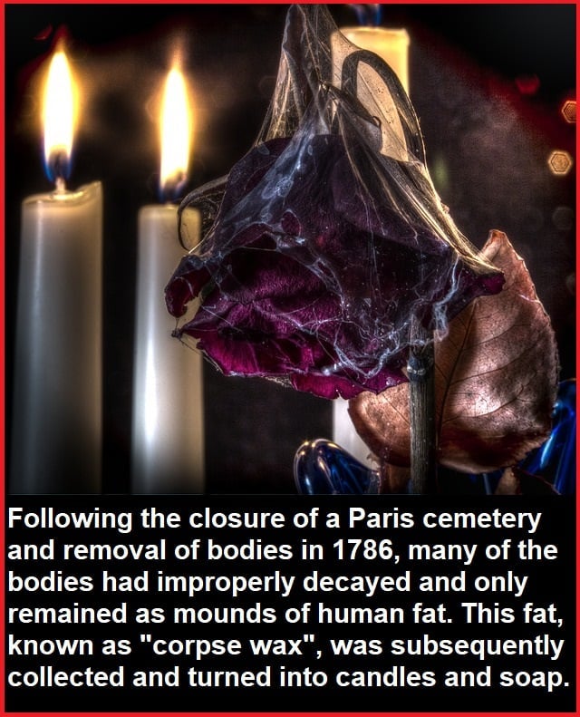 scary pictures - corpse wax - ing the closure of a Paris cemetery and removal of bodies in 1786, many of the bodies had improperly decayed and only remained as mounds of human fat. This fat, known as