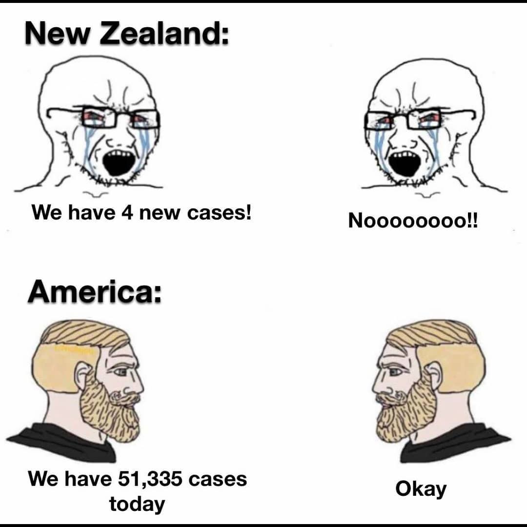 dank memes - soyjak vs chads - New Zealand We have 4 new cases! Noooooooo!! America We have 51,335 cases today Okay
