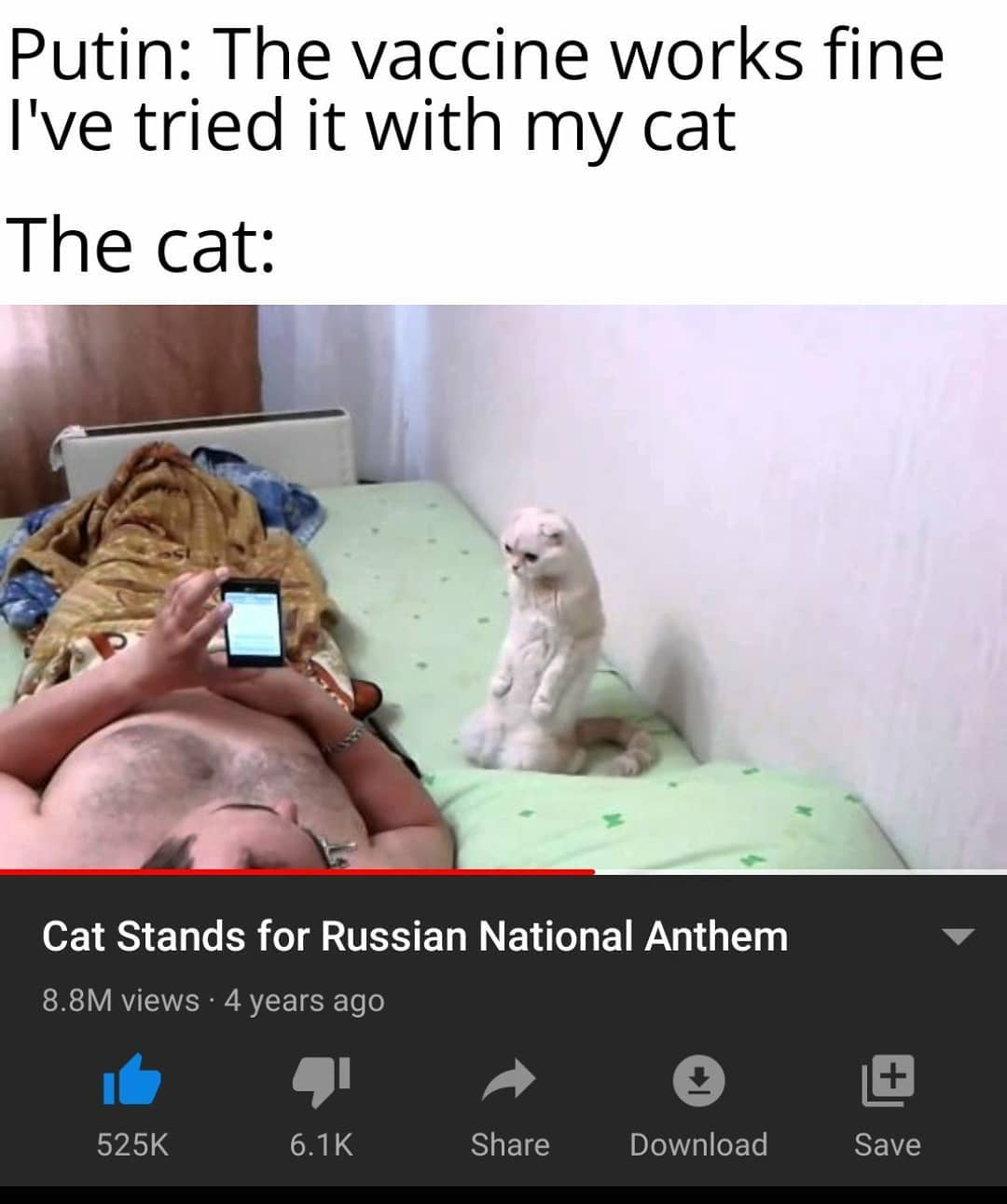 dank memes - Russia - Putin The vaccine works fine I've tried it with my cat The cat Cat Stands for Russian National Anthem 8.8M views 4 years ago Download Save