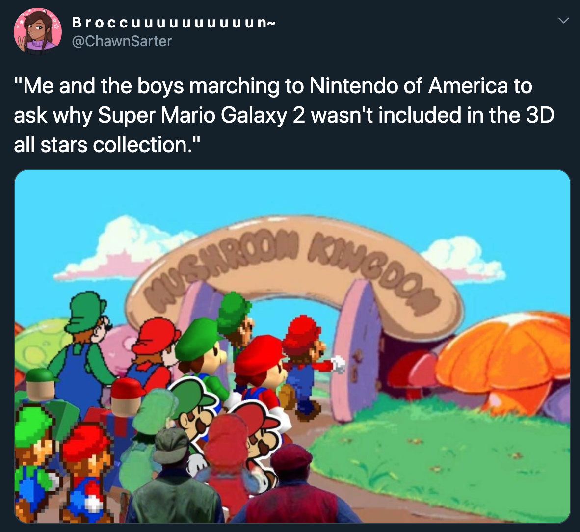 hotel mario - me and the boys marching to nintendo of america to ask why super mario galaxy 2 wasn't included in the 3d all stars collection