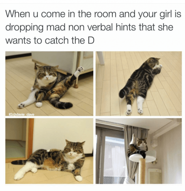 she wants sex meme - When u come in the room and your girl is dropping mad non verbal hints that she wants to catch the D Ig dave