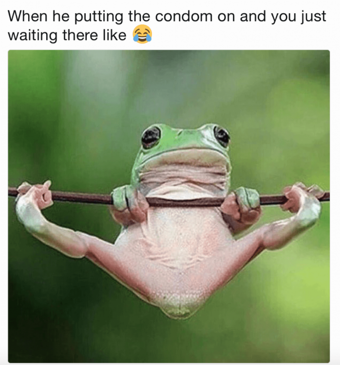 sex memes - When he putting the condom on and you just waiting there a