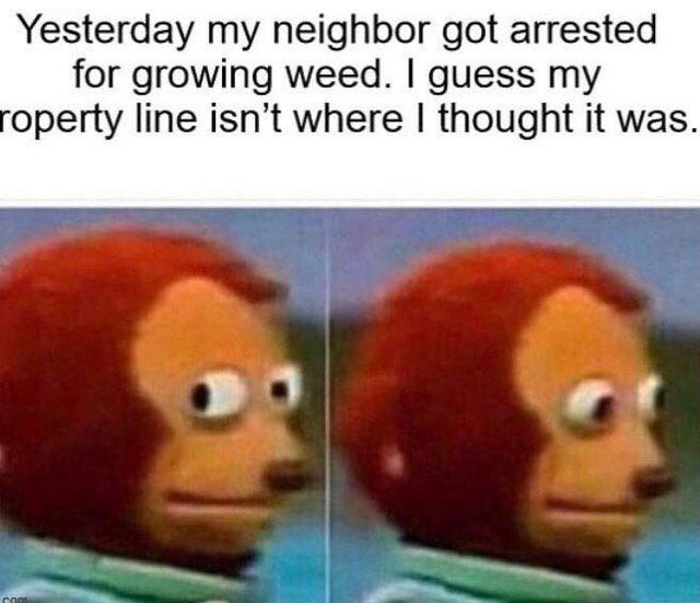 dark-memes meme im not looking - Yesterday my neighbor got arrested for growing weed. I guess my roperty line isn't where I thought it was. ras