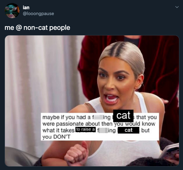 kardashian fights - me @ noncat people maybe if you had a fucking cat that you were passionate about then you would know what it takes to raise a fucking cat but you Don'T