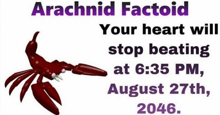 ebaums world dank memes - arachnid factoid - Arachnid Factoid Your heart will stop beating at , August 27th, 2046.