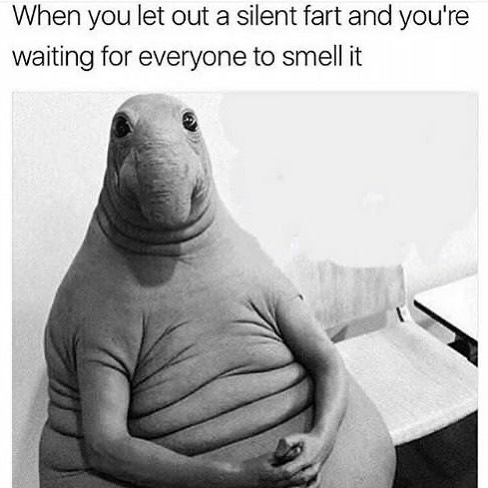 ebaums world dank memes - you let out a silent fart meme - When you let out a silent fart and you're waiting for everyone to smell it