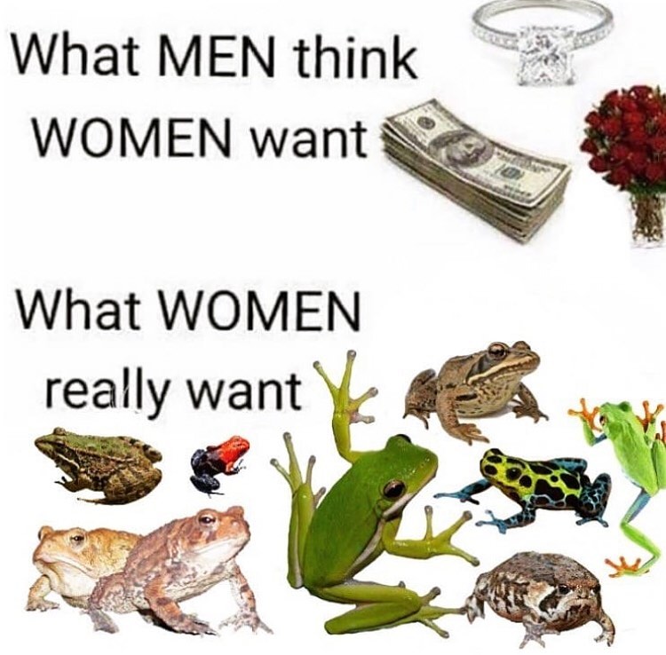 ebaums world dank memes - cottagecore memes - What Men think Women want What Women really want