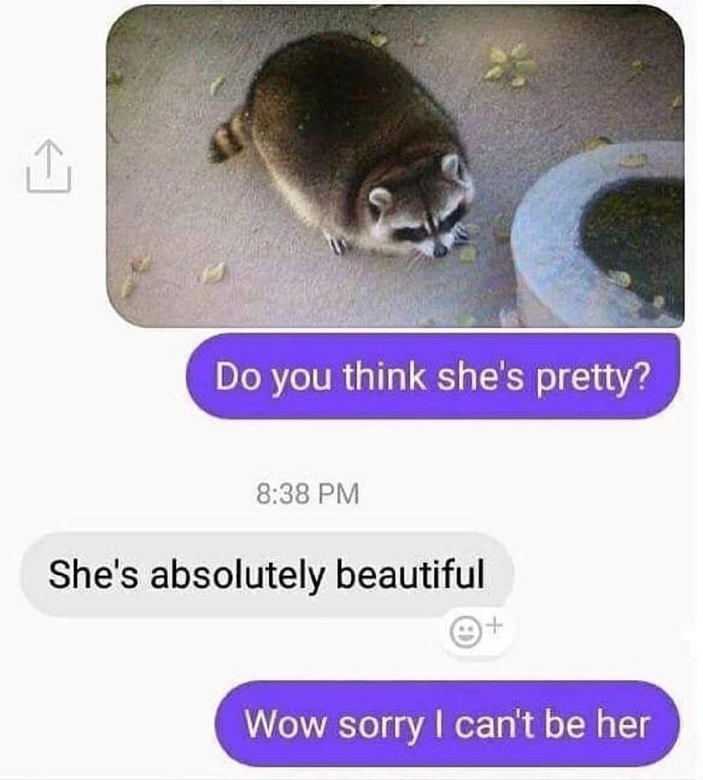 ebaums world dank memes - cute raccoon - Do you think she's pretty? She's absolutely beautiful Wow sorry I can't be her