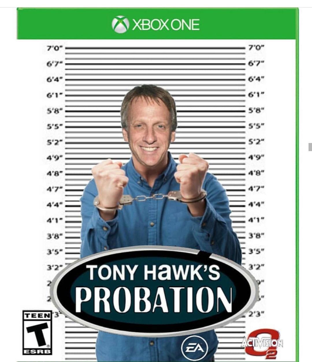 tony hawk's probation