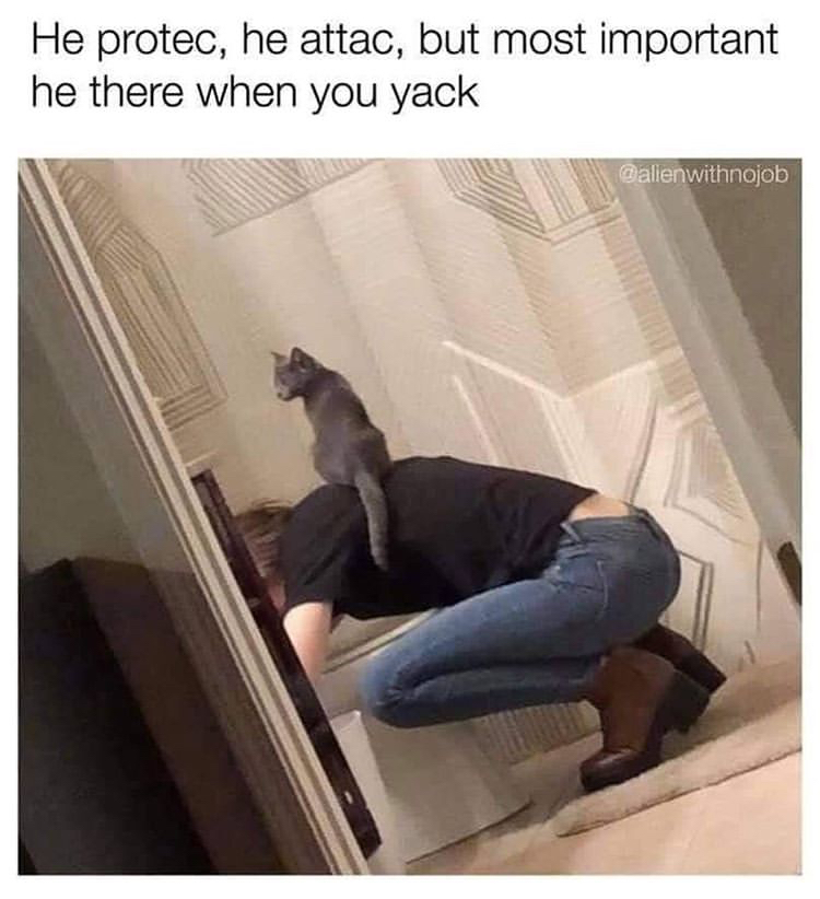 funny memes - He protec, he attac, but most important he there when you yack