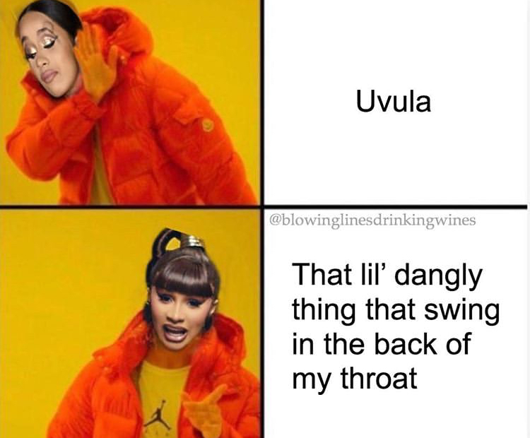 funny memes - drake empty meme - Uvula That lil' dangly thing that swing in the back of my throat