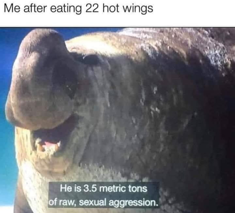 funny memes - raw sexual aggression meme - Me after eating 22 hot wings He is 3.5 metric tons of raw, sexual aggression.