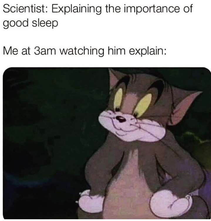 funny memes - Scientist Explaining the importance of good sleep Me at 3am watching him explain