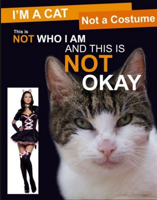 cat cultural appropriation - I'M A Cat Not a Costume Not Who I Am And This Is This is Not Okay
