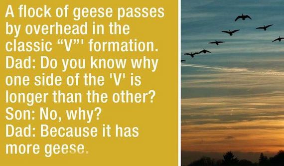 sky - A flock of geese passes by overhead in the classic "V"I formation. Dad Do you know why one side of the 'V' is longer than the other? Son No, why? Dad Because it has more geese.