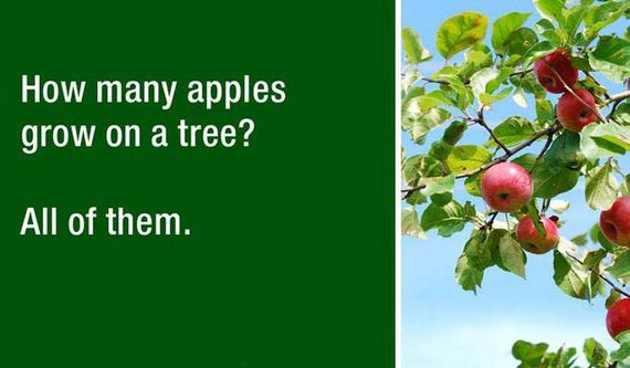 Dad joke - How many apples grow on a tree? All of them.