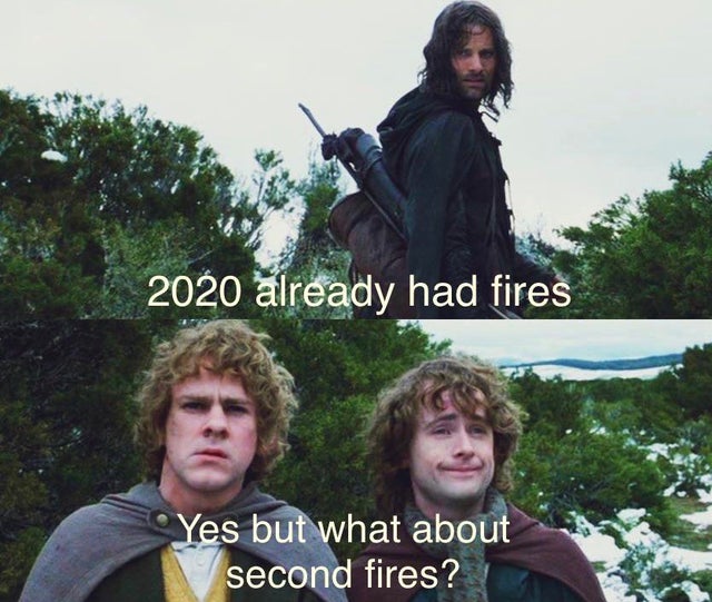 dank memes - lord of the rings coronavirus meme - 2020 already had fires Yes but what about second fires?