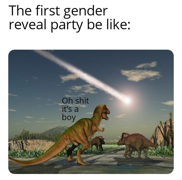 dank memes - dinosaurs went extinct - The first gender reveal party be Oh shit it's a boy