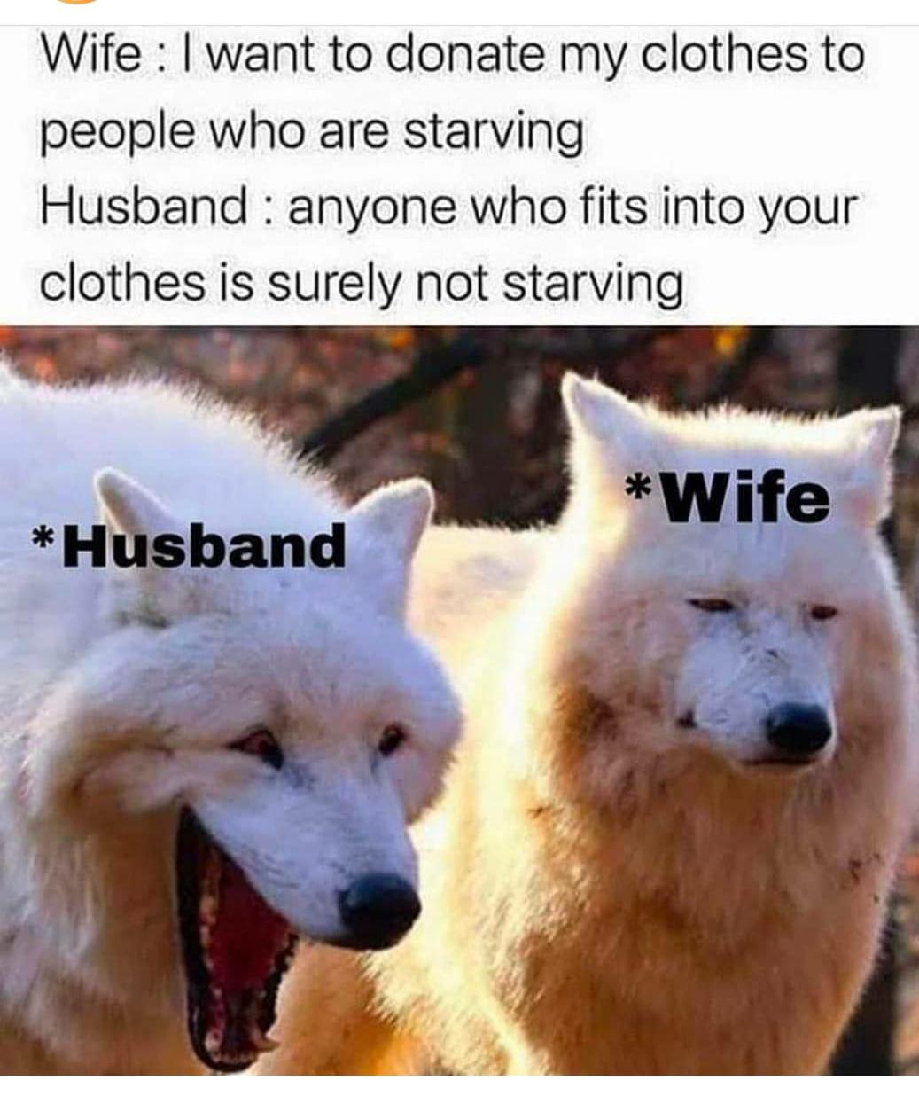 funny memes and random pics - 3 wolves meme - Wife I want to donate my clothes to people who are starving Husband anyone who fits into your clothes is surely not starving Wife Husband