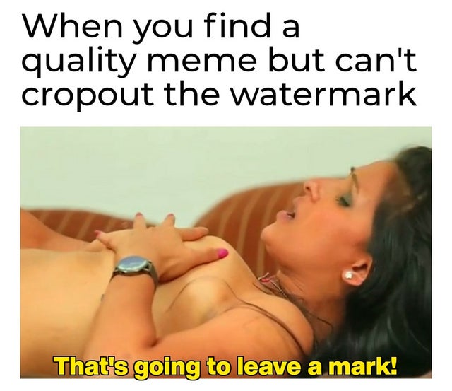 dirty-memes photo caption - When you find a quality meme but can't cropout the watermark That's going to leave a mark!