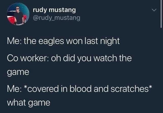 dark-memes funny play on words - rudy mustang Me the eagles won last night Co worker oh did you watch the game Me covered in blood and scratches what game