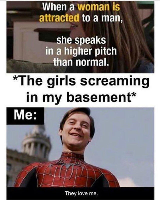 dark-memes twitter dark humor - When a woman is attracted to a man, she speaks in a higher pitch than normal. The girls screaming in my basement Me They love me