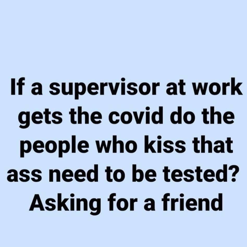 funny pics and memes - if a supervisor at work gets the covid do the people who kiss that ass need to be tested? Asking for a friend