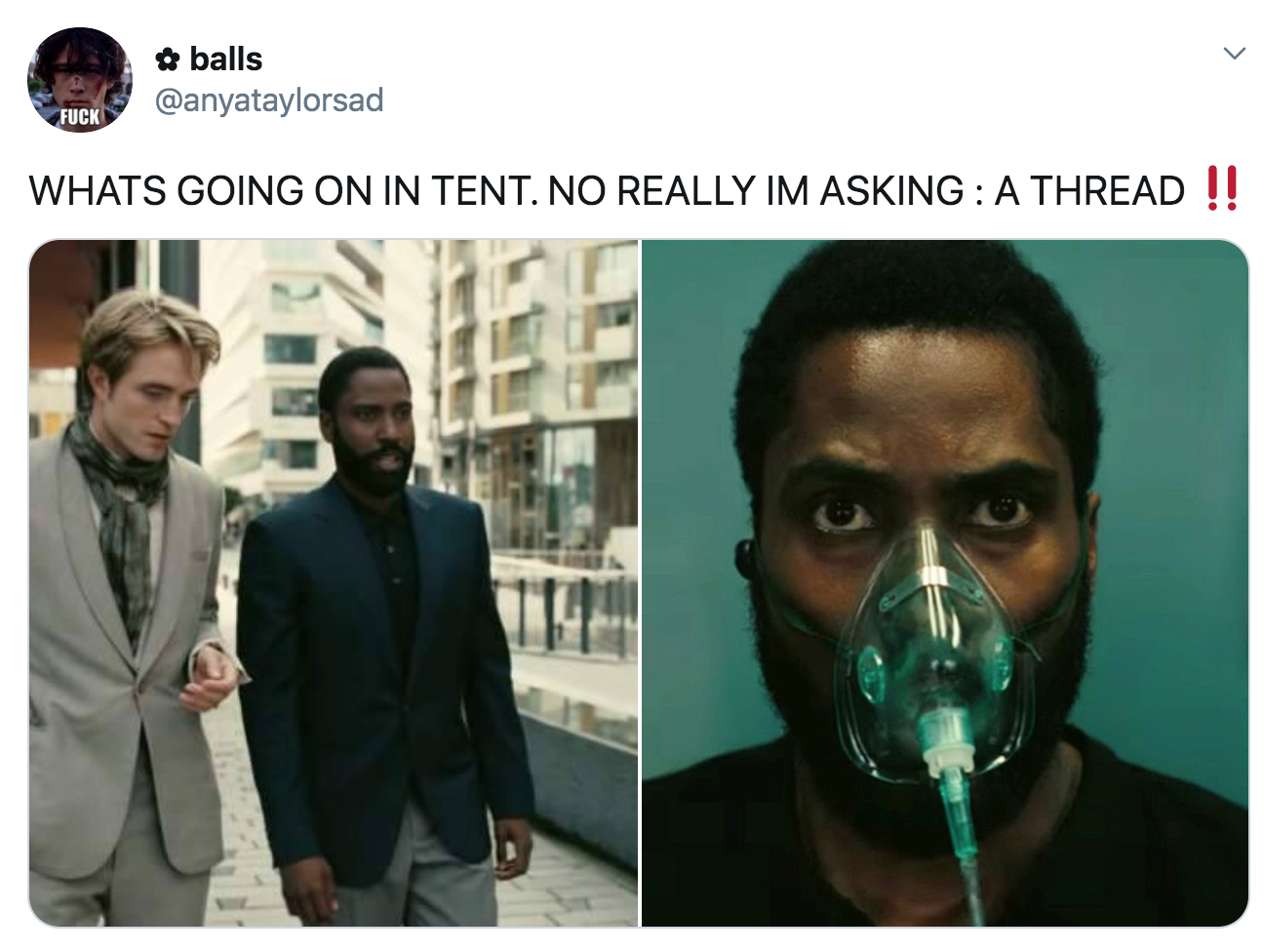 photo caption - balls Fuck Whats Going On In Tent. No Really Im Asking A Thread !!