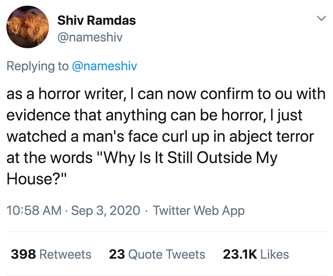 as a horror writer, I can now confirm to ou with evidence that anything can be horror, I just watched a man's face curl up in abject terror at the words "Why Is It Still Outside My House?" . Twitter Web App 398 23 Quote Tweets