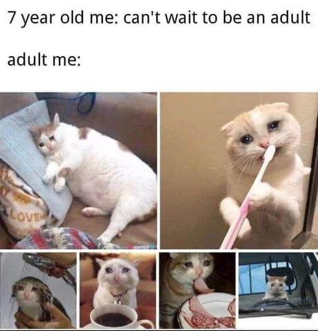 dank memes - you get up for work at 7 am -  7 year old me can't wait to be an adult adult me Love