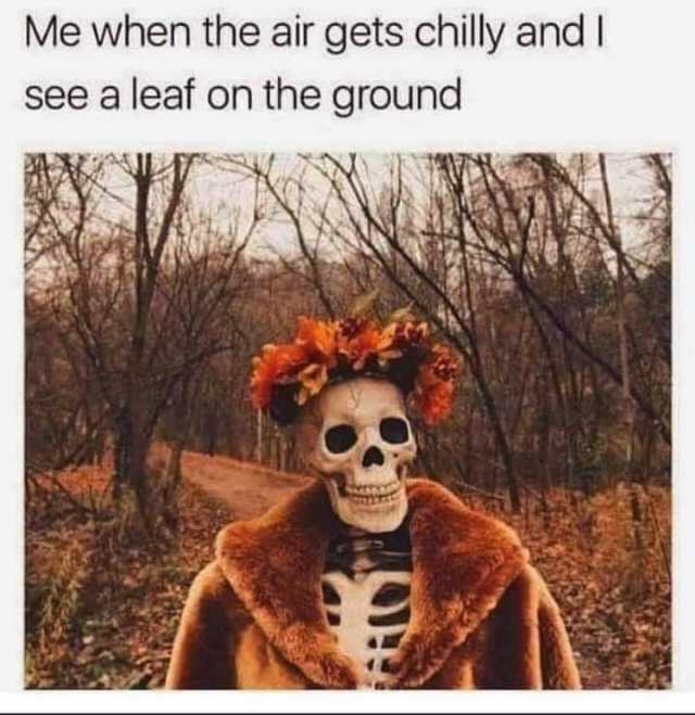 dank memes - fall memes - Me when the air gets chilly and I see a leaf on the ground