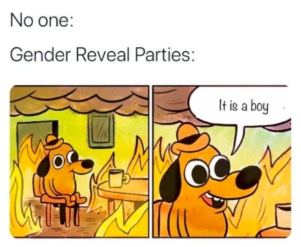 dank memes - staying positive memes - No one Gender Reveal Parties It is a boy