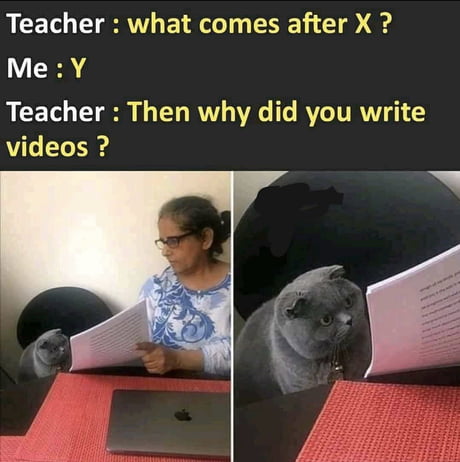 dank memes - cat meme template - Teacher what comes after X ? Me Y Teacher Then why did you write videos ?