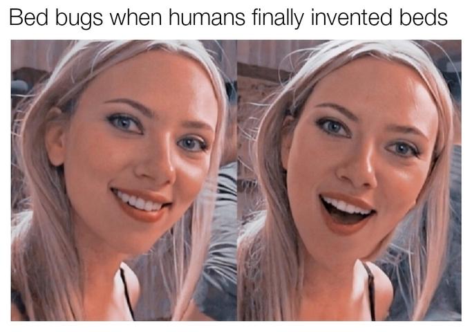 Surprised Scarlett Johansson  memes - Scarlett Johansson - Bed bugs when humans finally invented beds