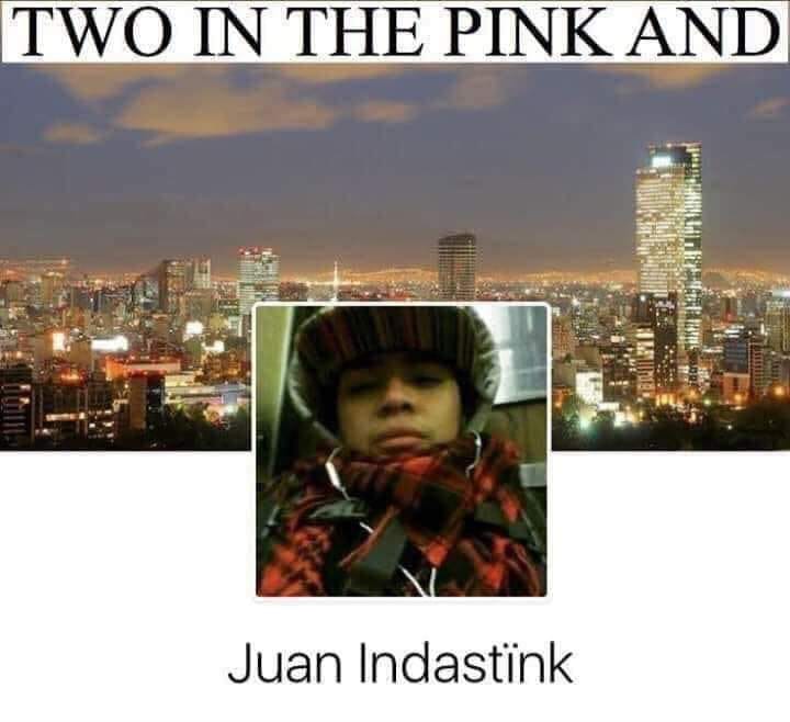 Photograph - Two In The Pink And Ren Juan Indastnk