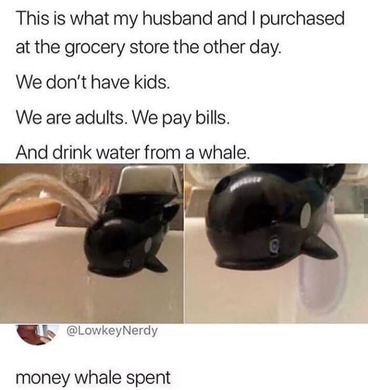 money whale spent - This is what my husband and I purchased at the grocery store the other day. We don't have kids. We are adults. We pay bills. And drink water from a whale. money whale spent