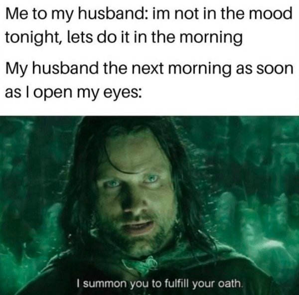 lotr aragorn meme - Me to my husband im not in the mood tonight, lets do it in the morning My husband the next morning as soon as I open my eyes | summon you to fulfill your oath.
