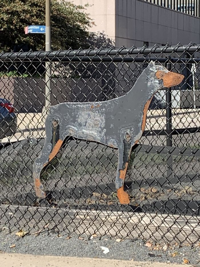 This Doberman sign rusted in the perfect spots.