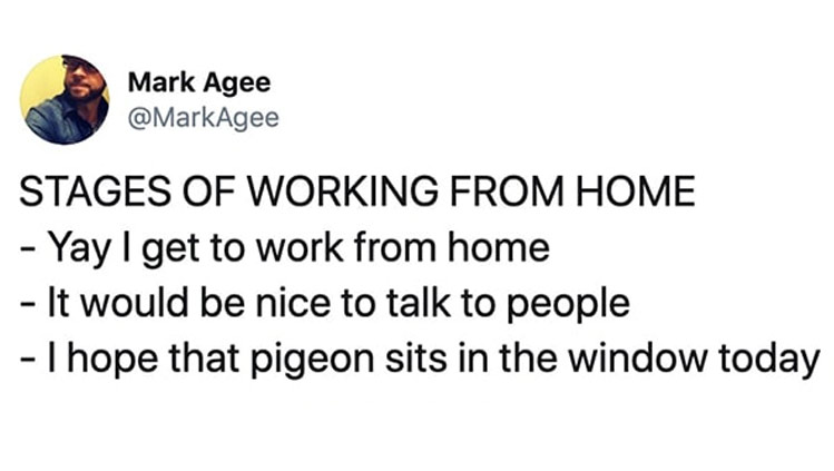 work memes -  diagram - Mark Agee Stages Of Working From Home Yay I get to work from home It would be nice to talk to people I hope that pigeon sits in the window today
