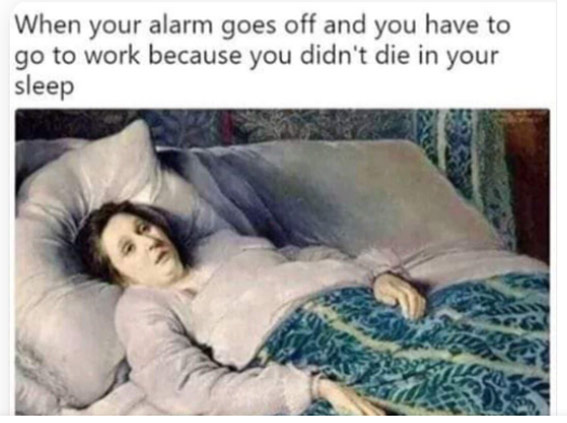 work memes -  2020 summed up meme - When your alarm goes off and you have to go to work because you didn't die in your sleep
