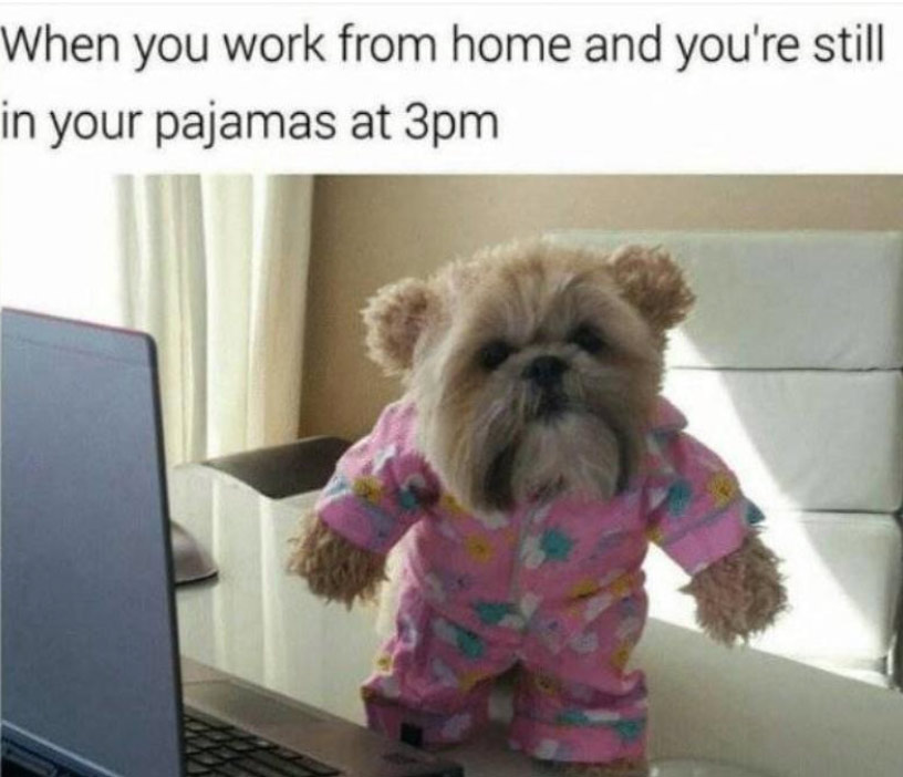 work memes -  work from home meme - When you work from home and you're still in your pajamas at 3pm