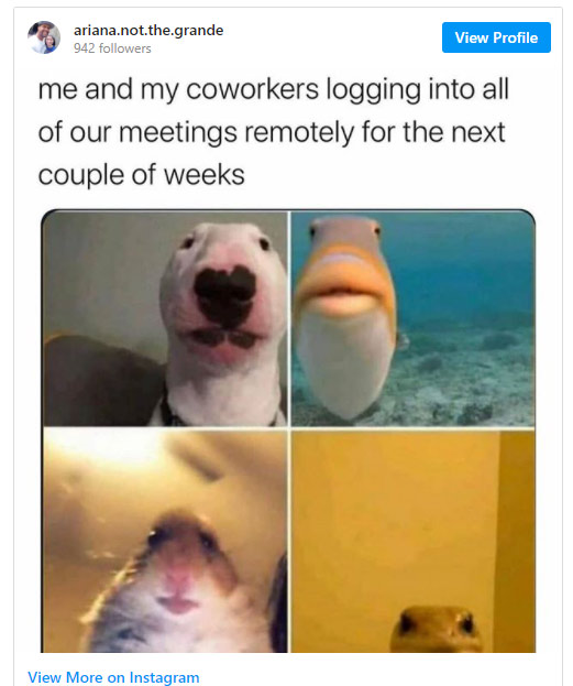 work memes -  funny isolation memes - ariana.not.the.grande 942 ers View Profile me and my coworkers logging into all of our meetings remotely for the next couple of weeks View More on Instagram